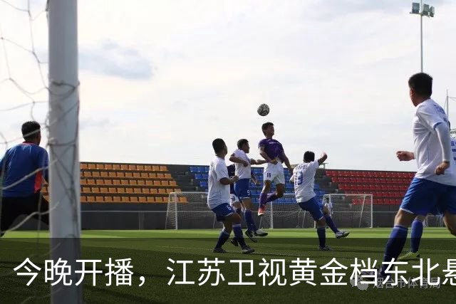 今晚开播，江苏卫视黄金档东北悬疑大剧来袭！阵容强大，值得一看