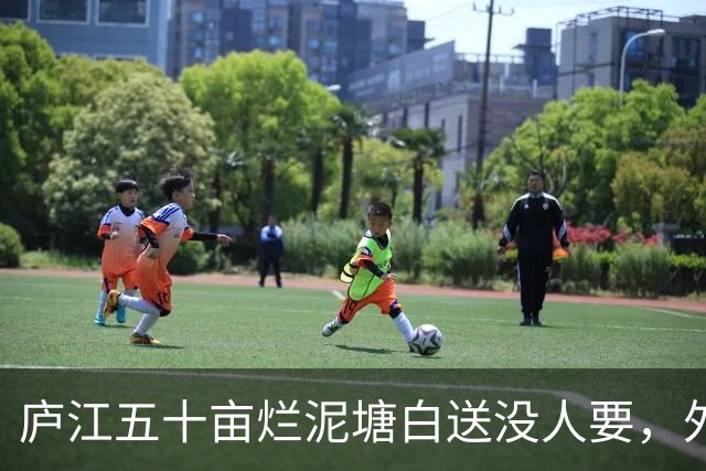 庐江五十亩烂泥塘白送没人要，外乡人租六年，藕卖完连夜走了