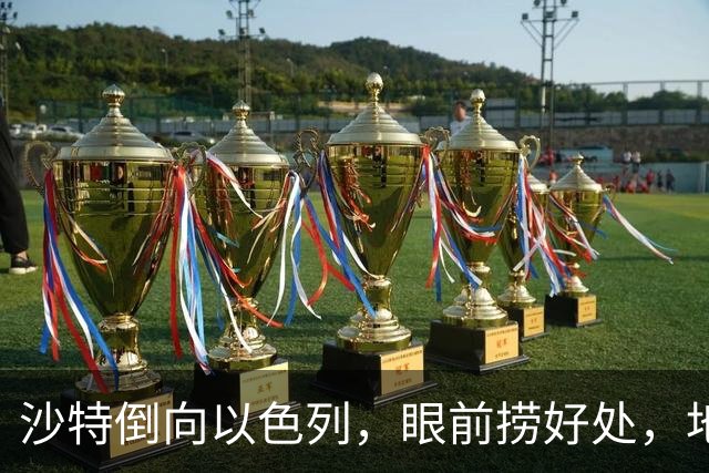 沙特倒向以色列，眼前捞好处，地缘亏得底朝天