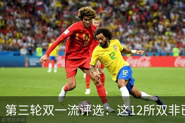 第三轮双一流评选：这12所双非已全面达标，很大概率能入选！快来看看你的大学有没有上榜